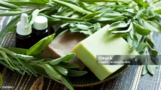 探寻重庆桑拿的地域特色：从码头文化到巴渝风情的融合