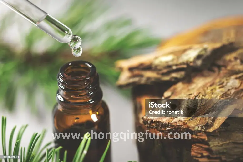 体验分享