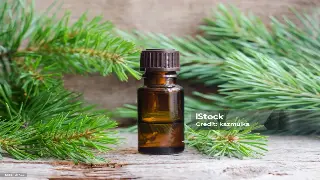 山城桑拿新耍事：巴适得板的重庆特色解乏秘籍